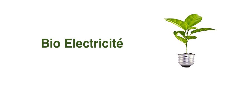 BioElectricité.jpg